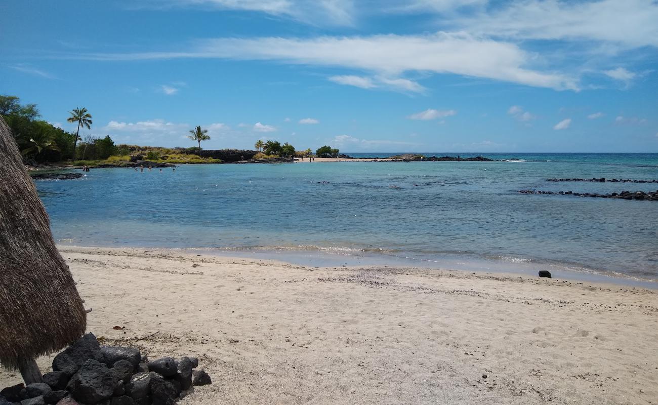 Alula beach'in fotoğrafı gri kum yüzey ile