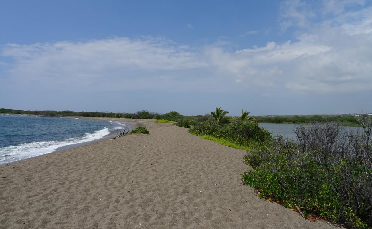 Honokohau Beach'in fotoğrafı gri kum yüzey ile