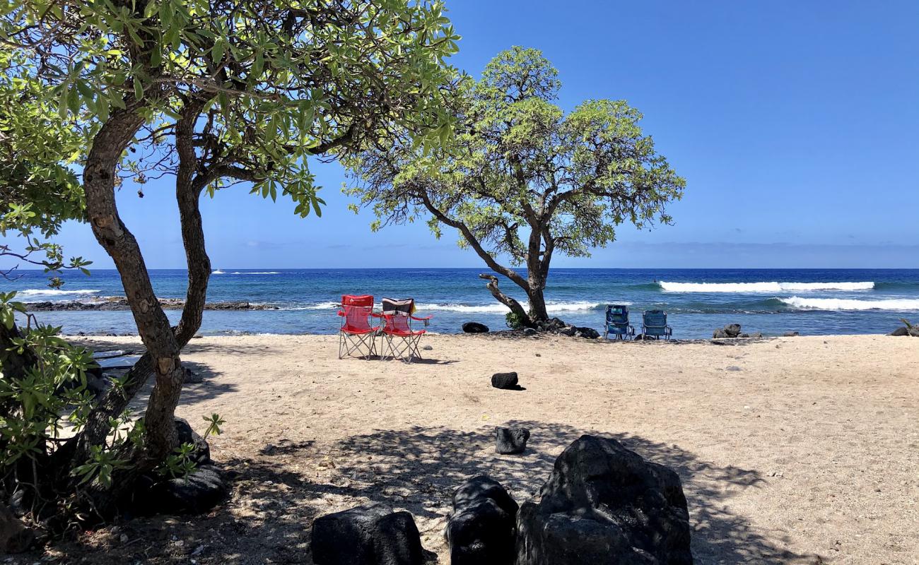 Pine Trees Beach'in fotoğrafı parlak kum ve kayalar yüzey ile