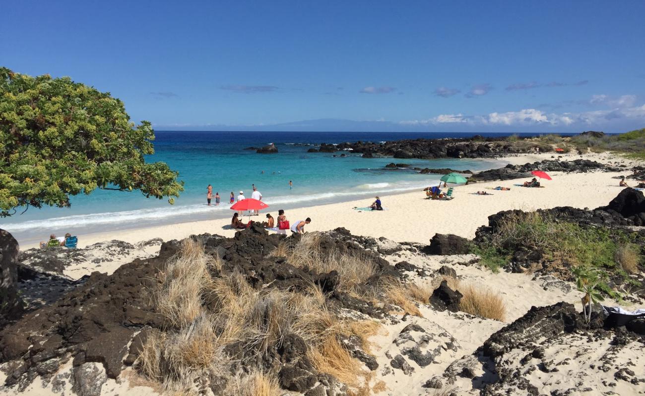 Makalawena Beach'in fotoğrafı parlak ince kum yüzey ile