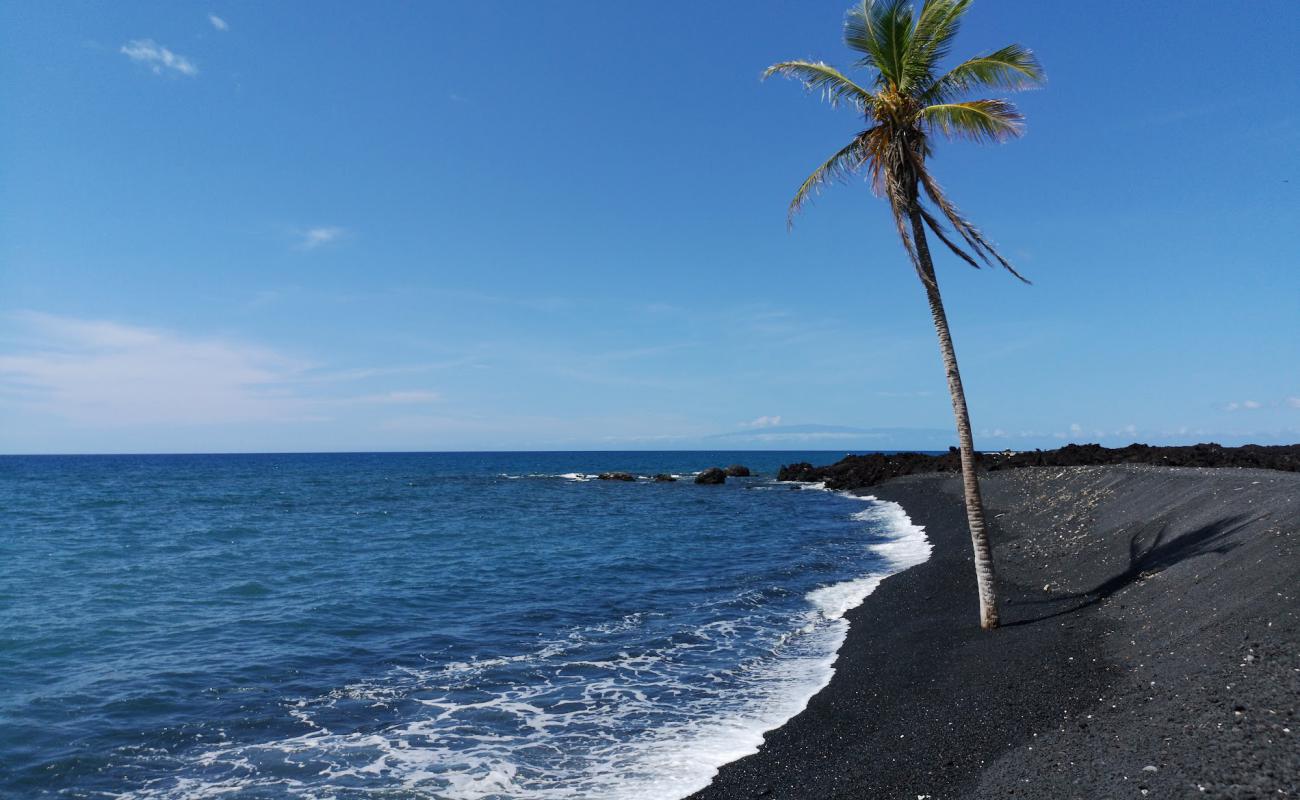 Lone Palm beach'in fotoğrafı gri çakıl taşı yüzey ile
