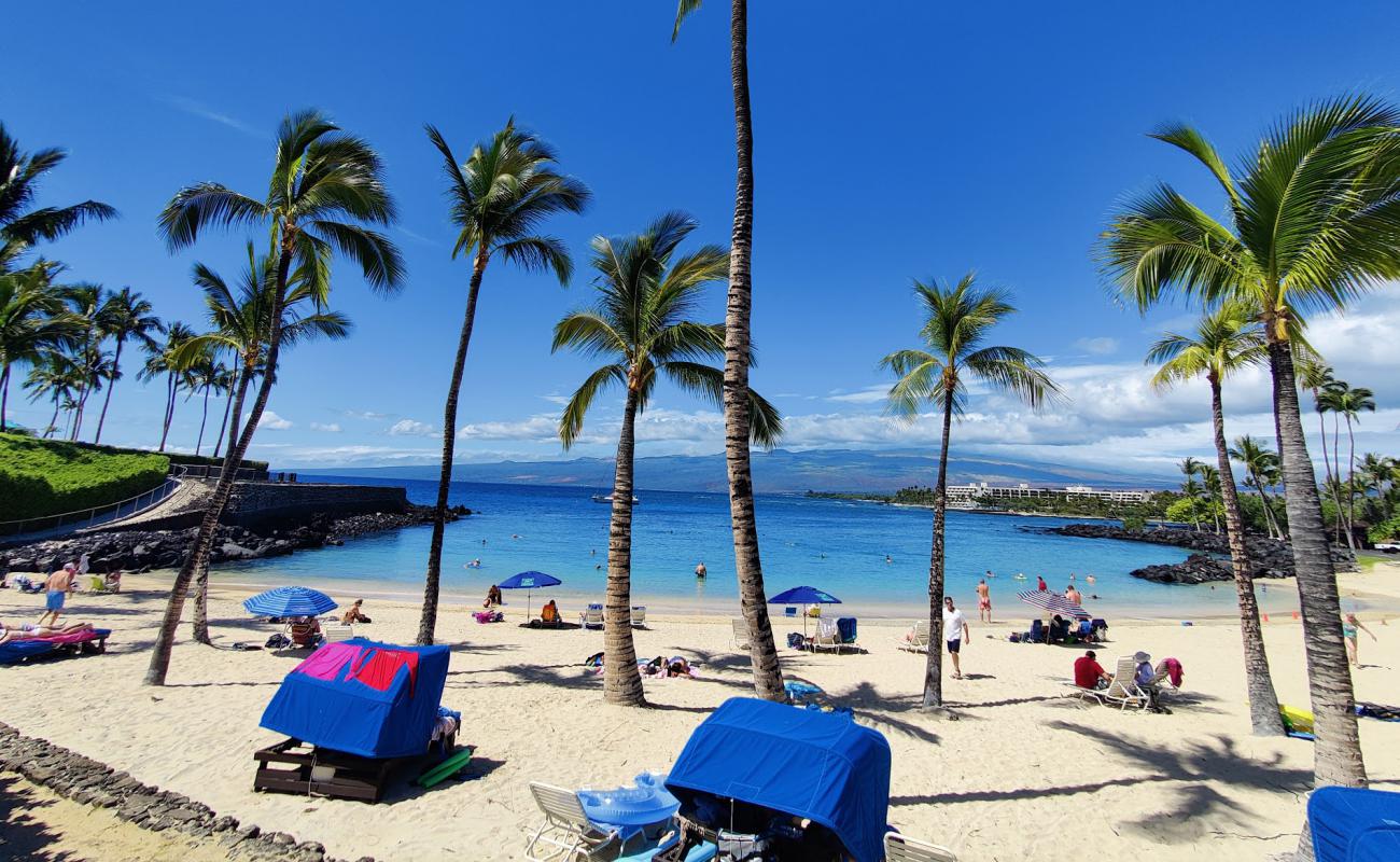 Mauna Lani Club beach'in fotoğrafı parlak kum yüzey ile