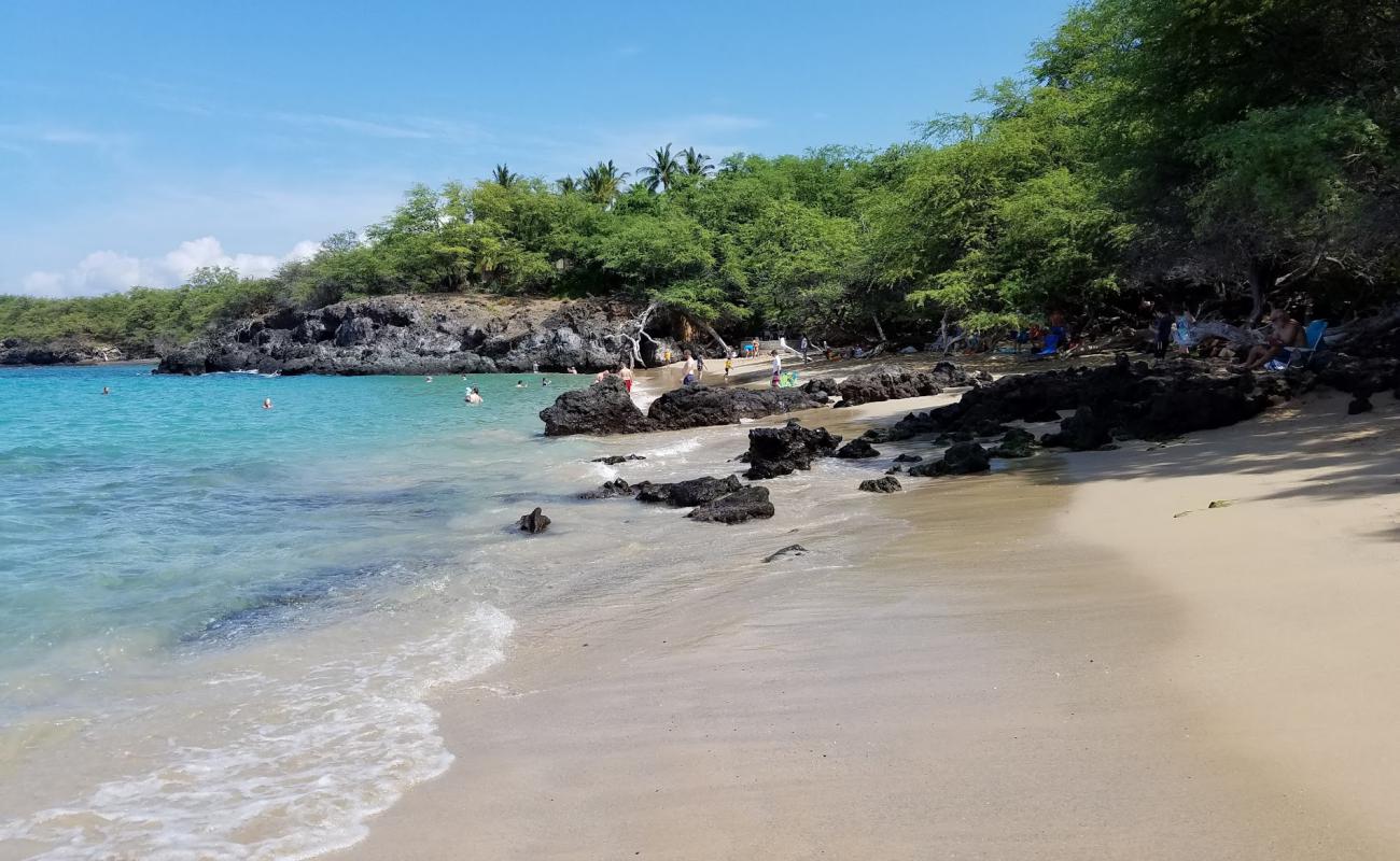 Waialea Beach'in fotoğrafı parlak kum yüzey ile