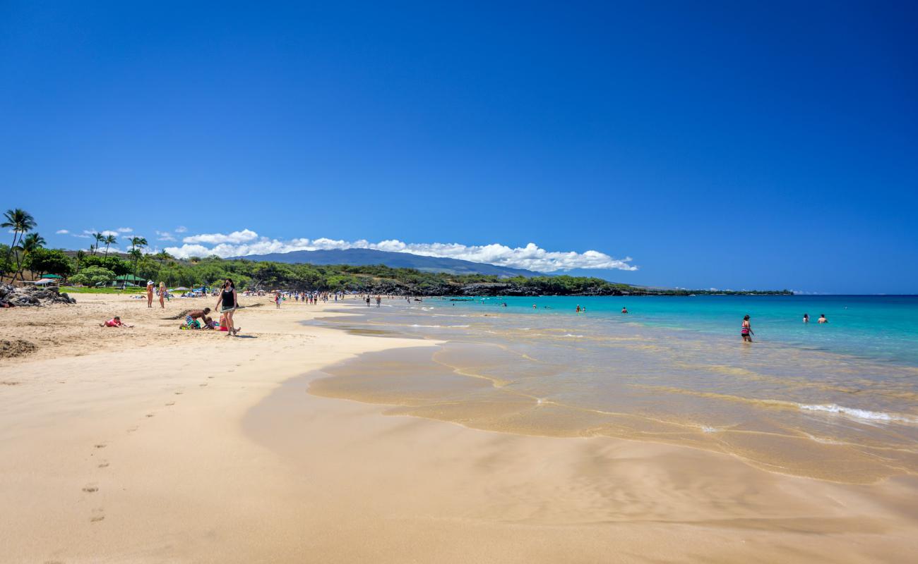 Hapuna Beach'in fotoğrafı parlak ince kum yüzey ile