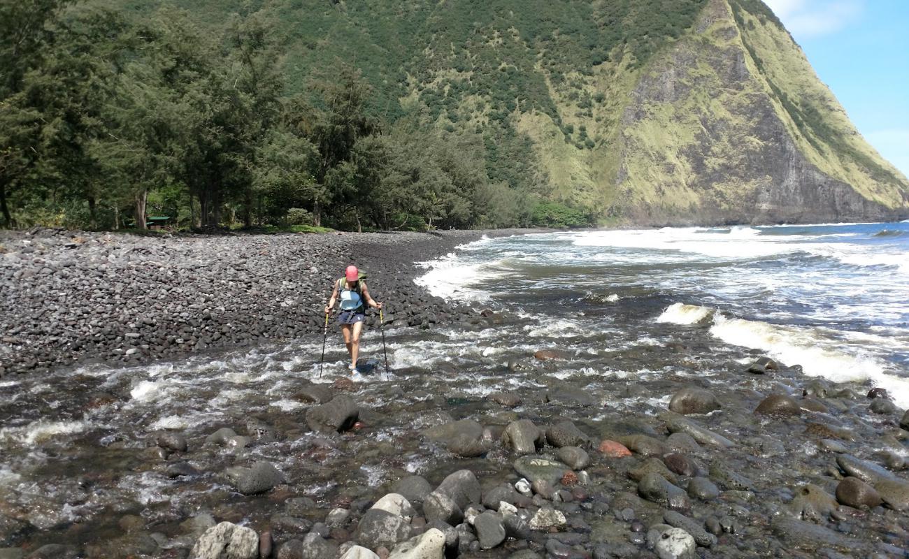 Waimanu Valley'in fotoğrafı kahverengi çakıl yüzey ile