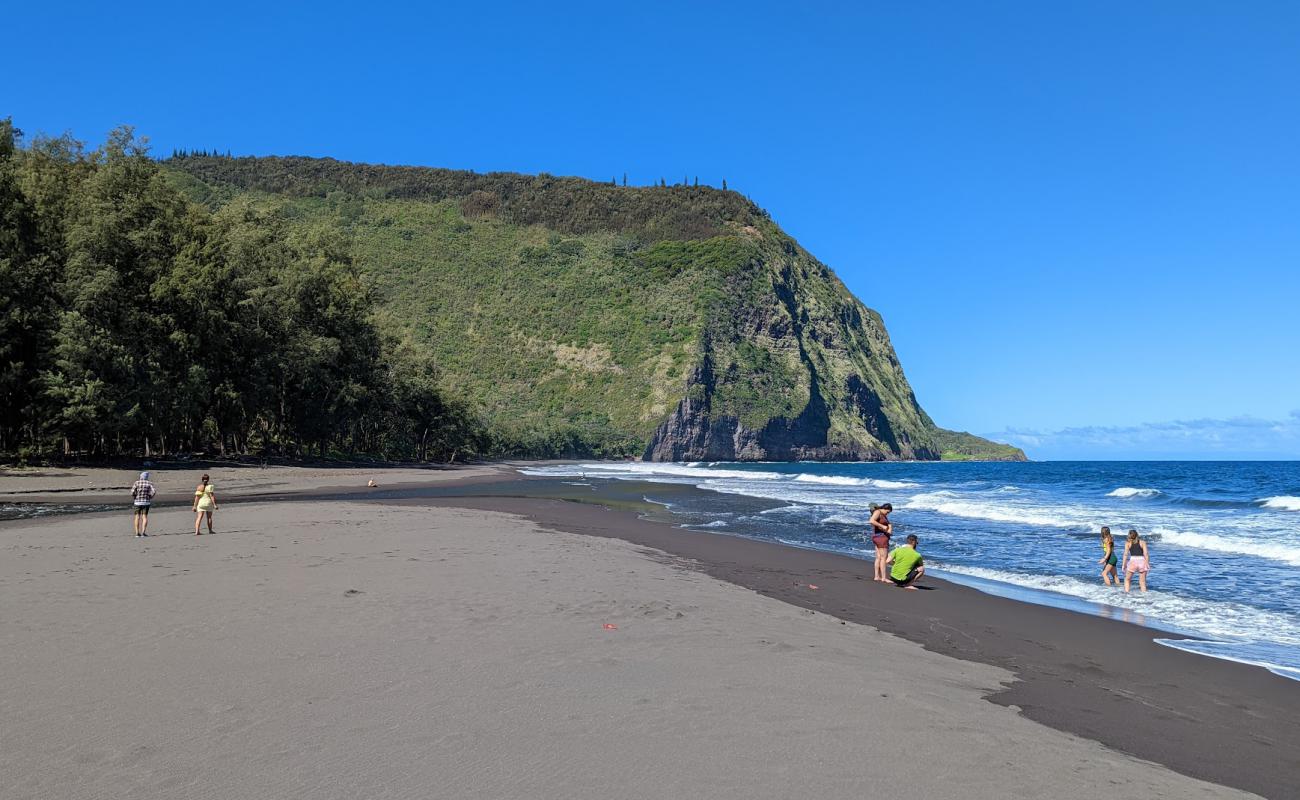 Waipi'o Black Sand Beach'in fotoğrafı kahverengi kum yüzey ile