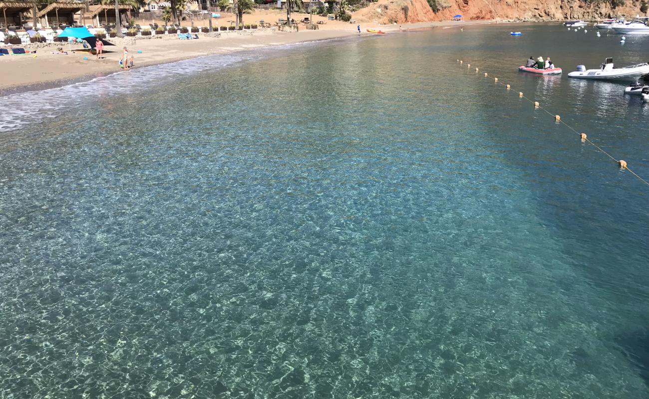 Harbor Sands'in fotoğrafı parlak kum yüzey ile