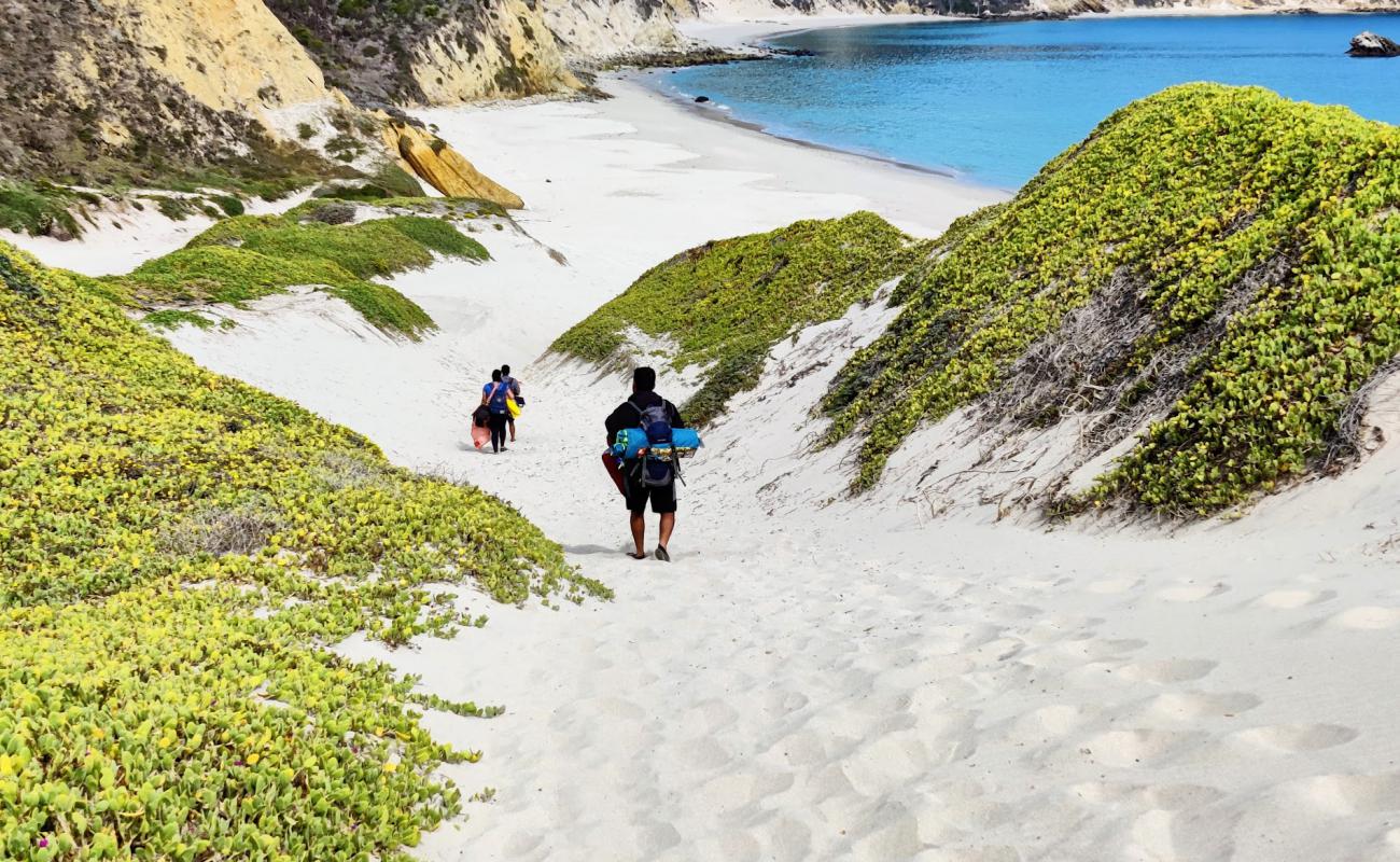 San Miguel Island'in fotoğrafı açık bej kum yüzey ile