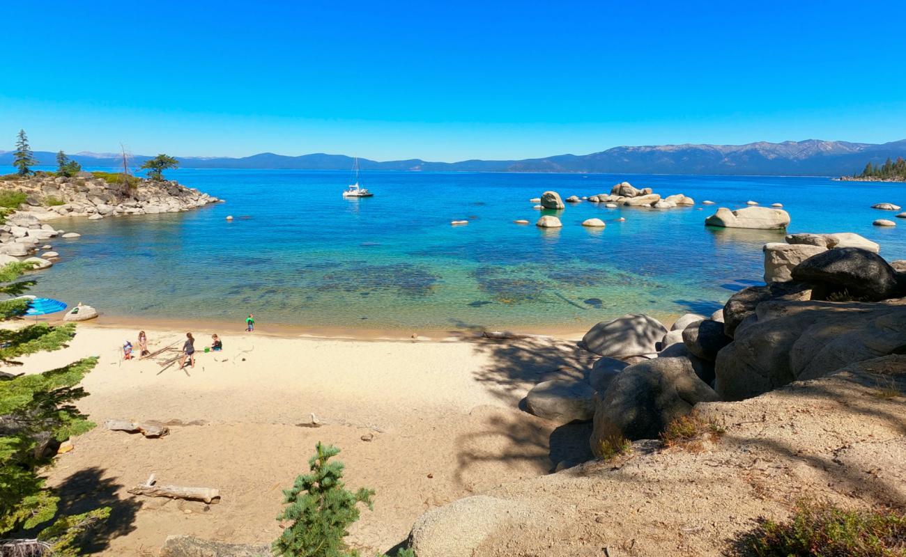 Whale Beach'in fotoğrafı açık bej kum yüzey ile