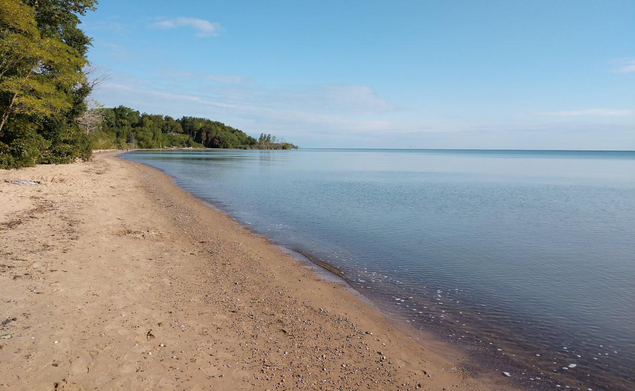 Four Mile Scenic Turnout Beach'in fotoğrafı açık bej kum yüzey ile