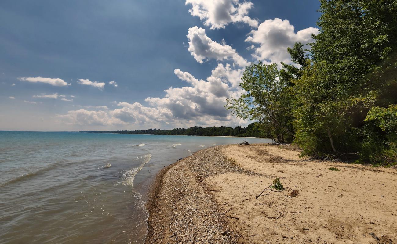 Delaware Beach'in fotoğrafı açık bej kum yüzey ile