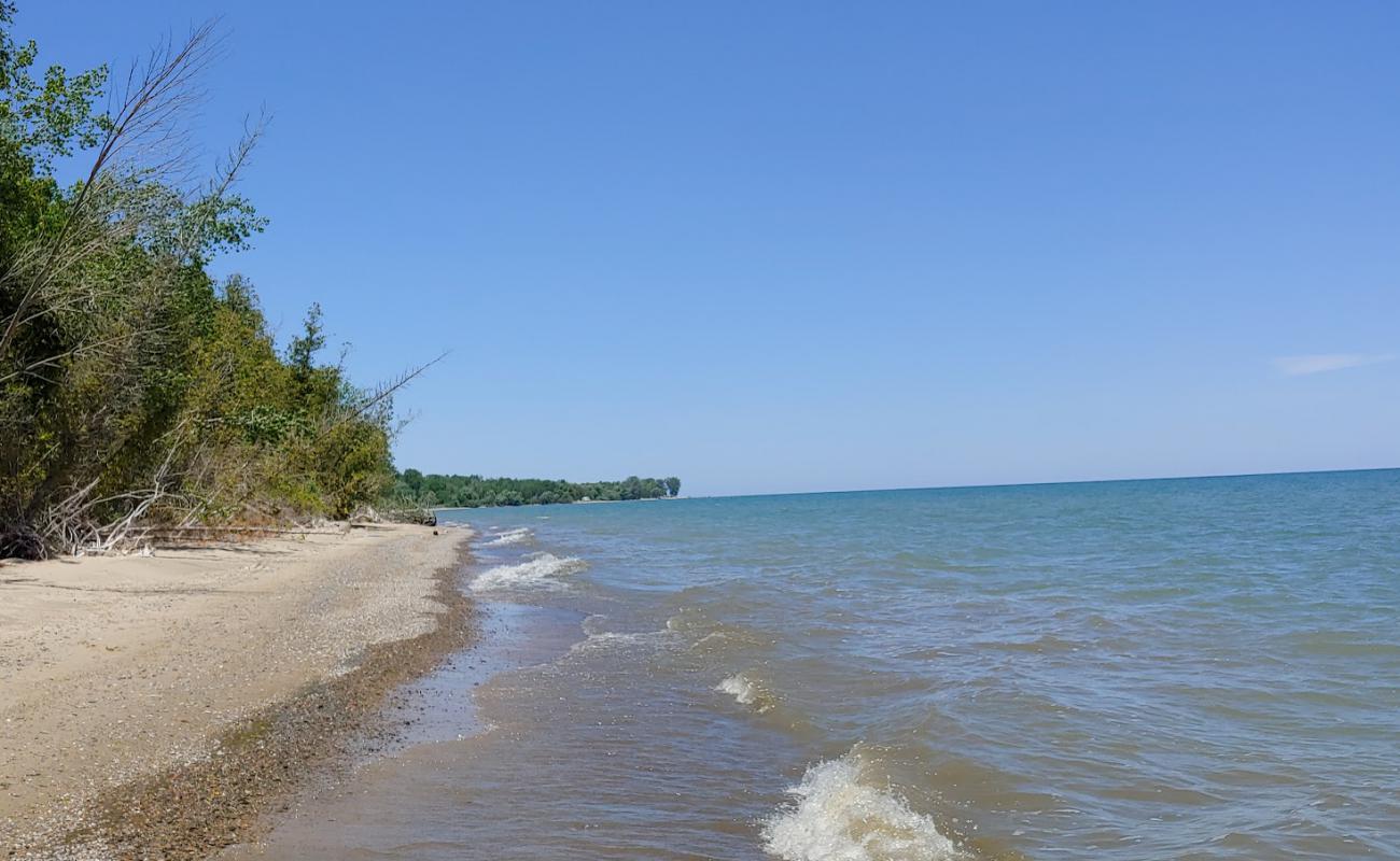 White Rock Roadside Beach'in fotoğrafı parlak kum yüzey ile