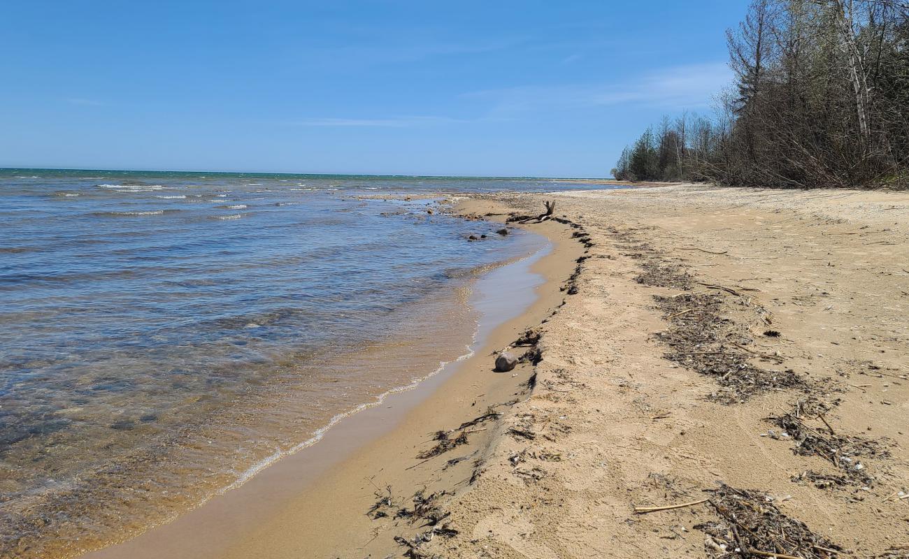 Bebe Beach'in fotoğrafı açık bej kum yüzey ile