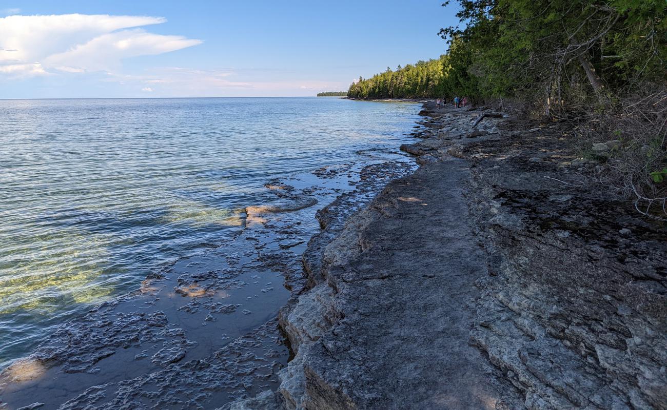 Fossil Ledges Beach'in fotoğrafı kayalık arazi yüzey ile