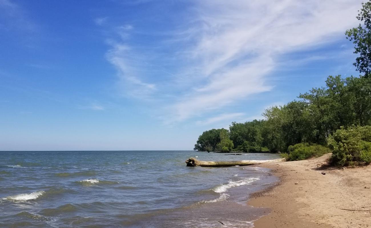 Benton Beach'in fotoğrafı açık bej kum yüzey ile