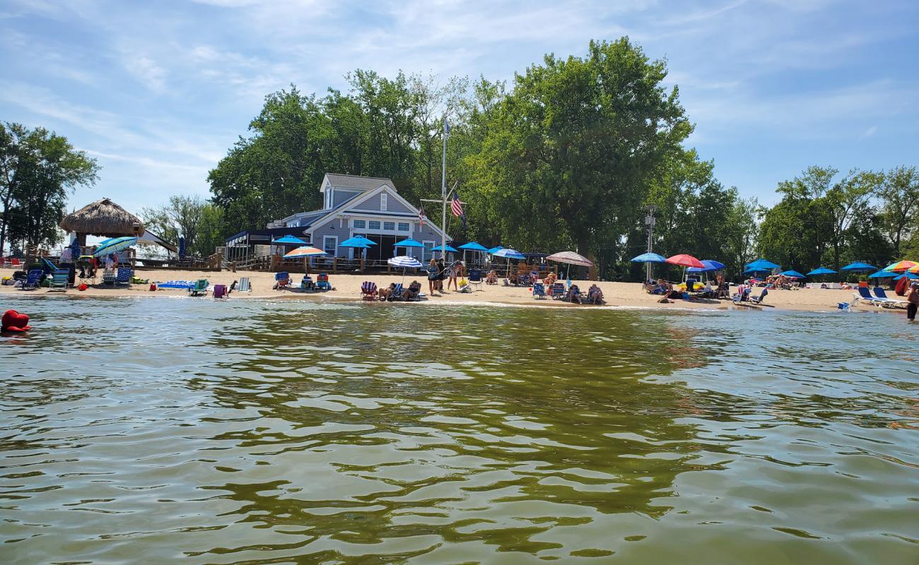 The Shores Club Beach'in fotoğrafı parlak kum yüzey ile