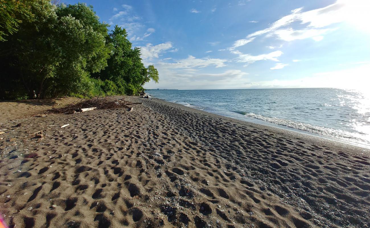 Timberlake Residents Beach'in fotoğrafı gri çakıl taşı yüzey ile