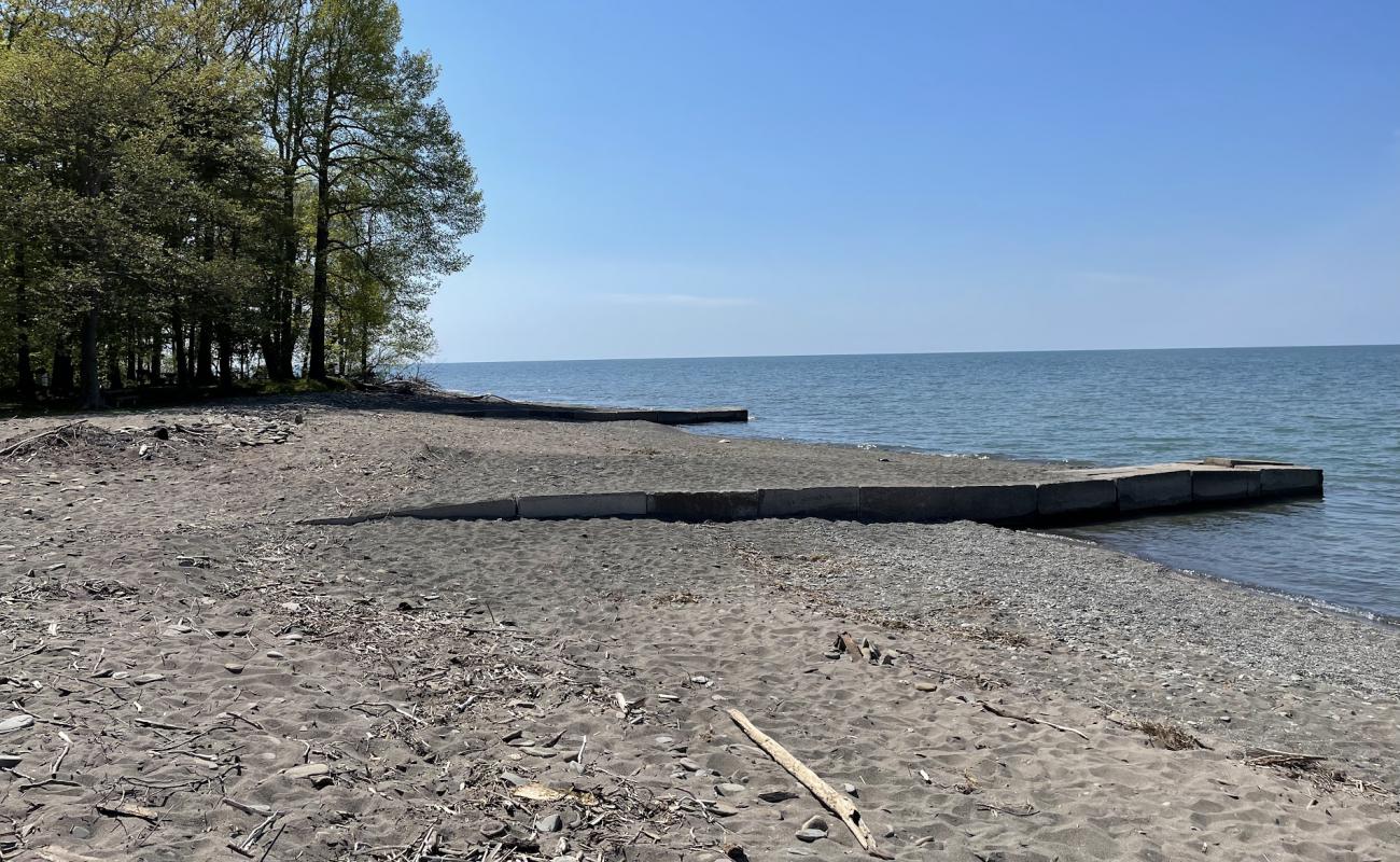 Raccoon Beach'in fotoğrafı gri kum ve çakıl yüzey ile