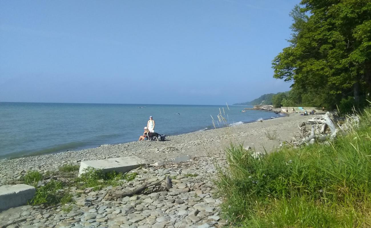 Avonia Beach'in fotoğrafı gri çakıl taşı yüzey ile