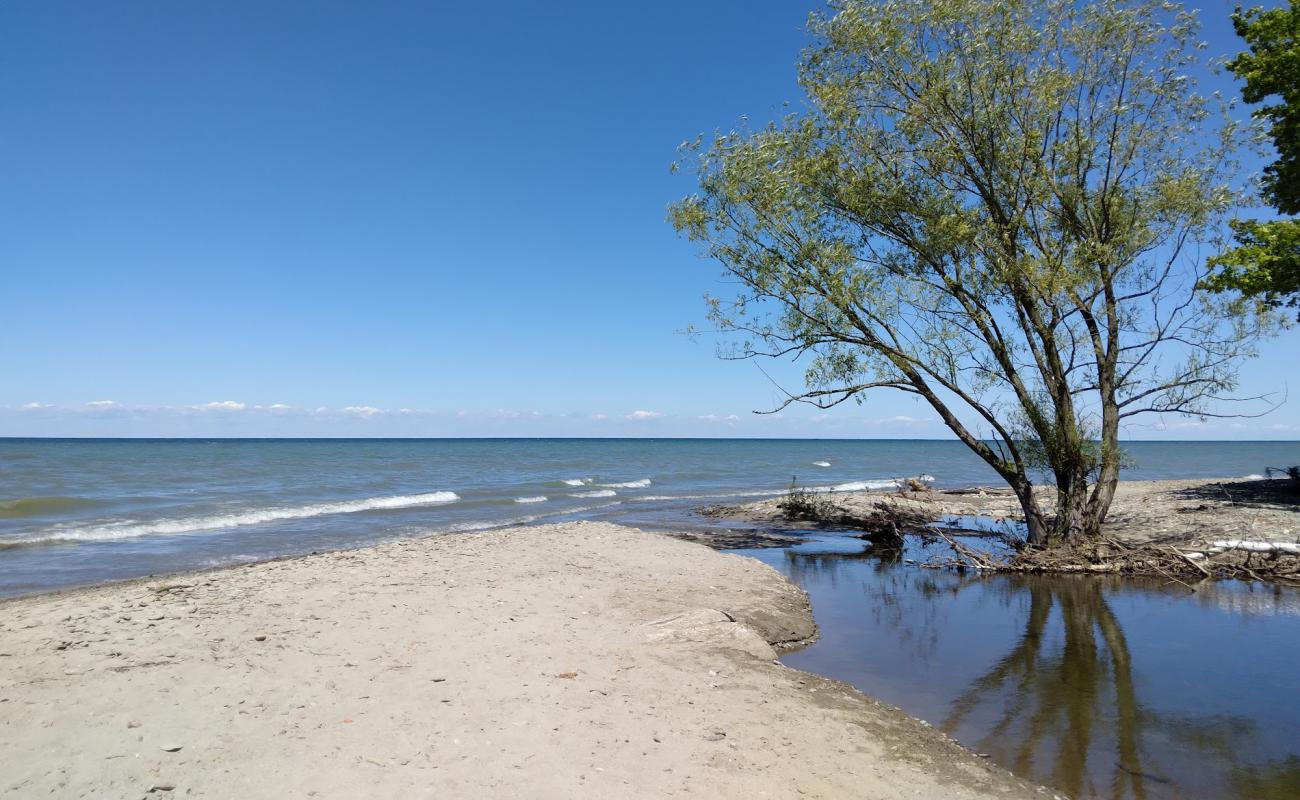 Shorewood Beach'in fotoğrafı bej kum ve kayalar yüzey ile