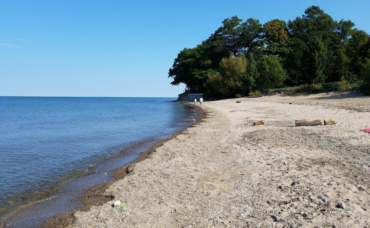 Lake Erie Beach'in fotoğrafı çakıl ile kum yüzey ile