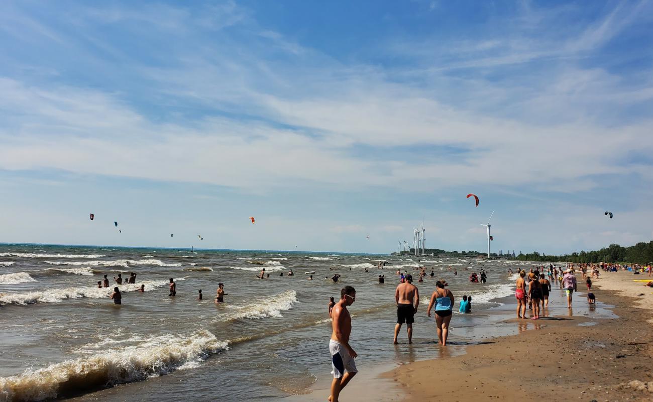 Sole at Woodlawn Beach'in fotoğrafı parlak kum yüzey ile