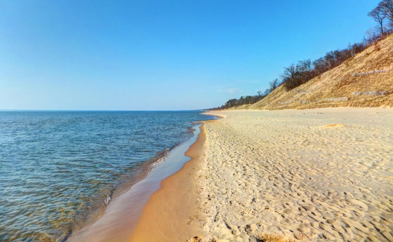 Kirk Park'in fotoğrafı i̇nce bej kum yüzey ile