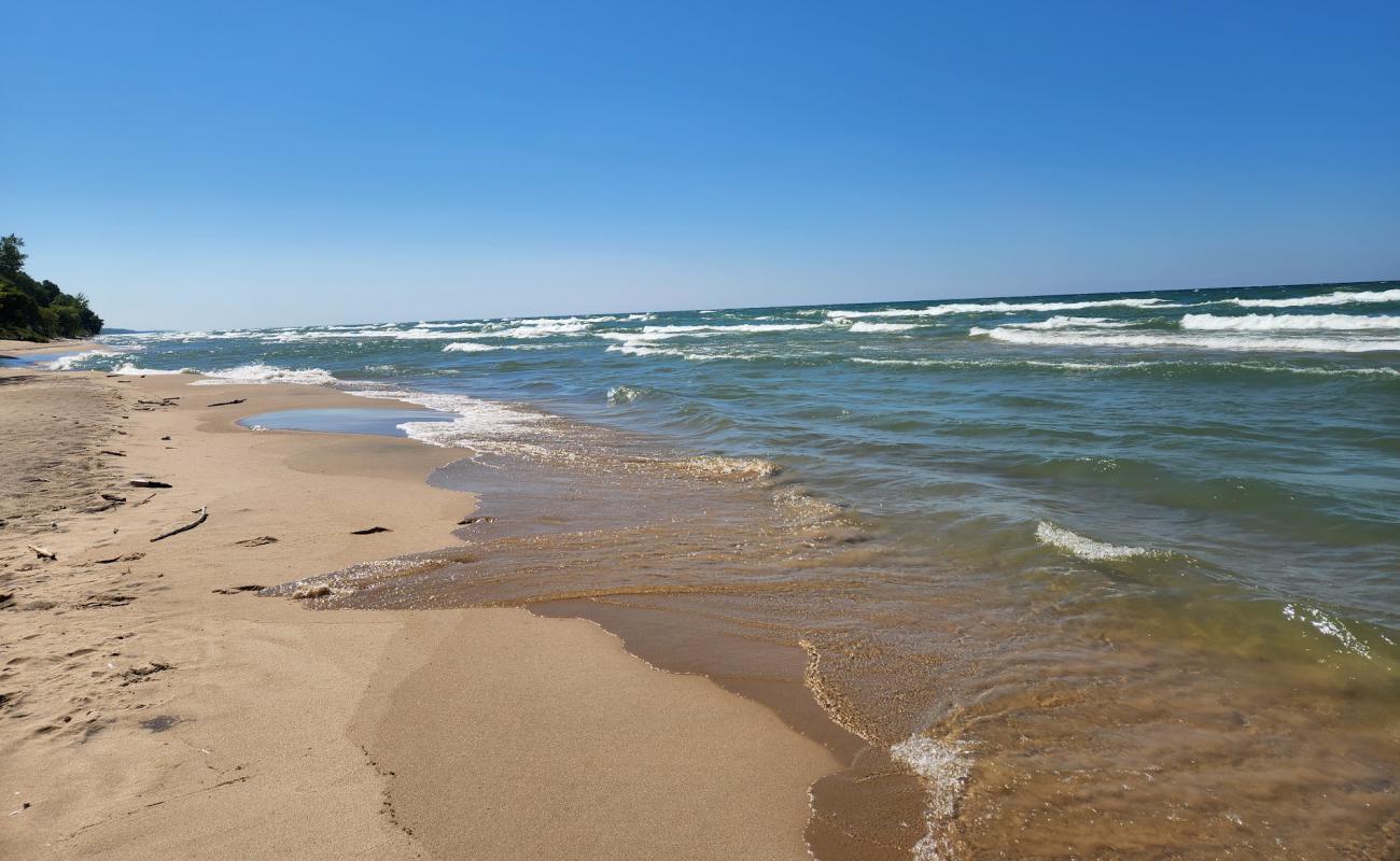 Buchanan Beach'in fotoğrafı parlak kum yüzey ile