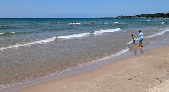 Stearns Park Beach