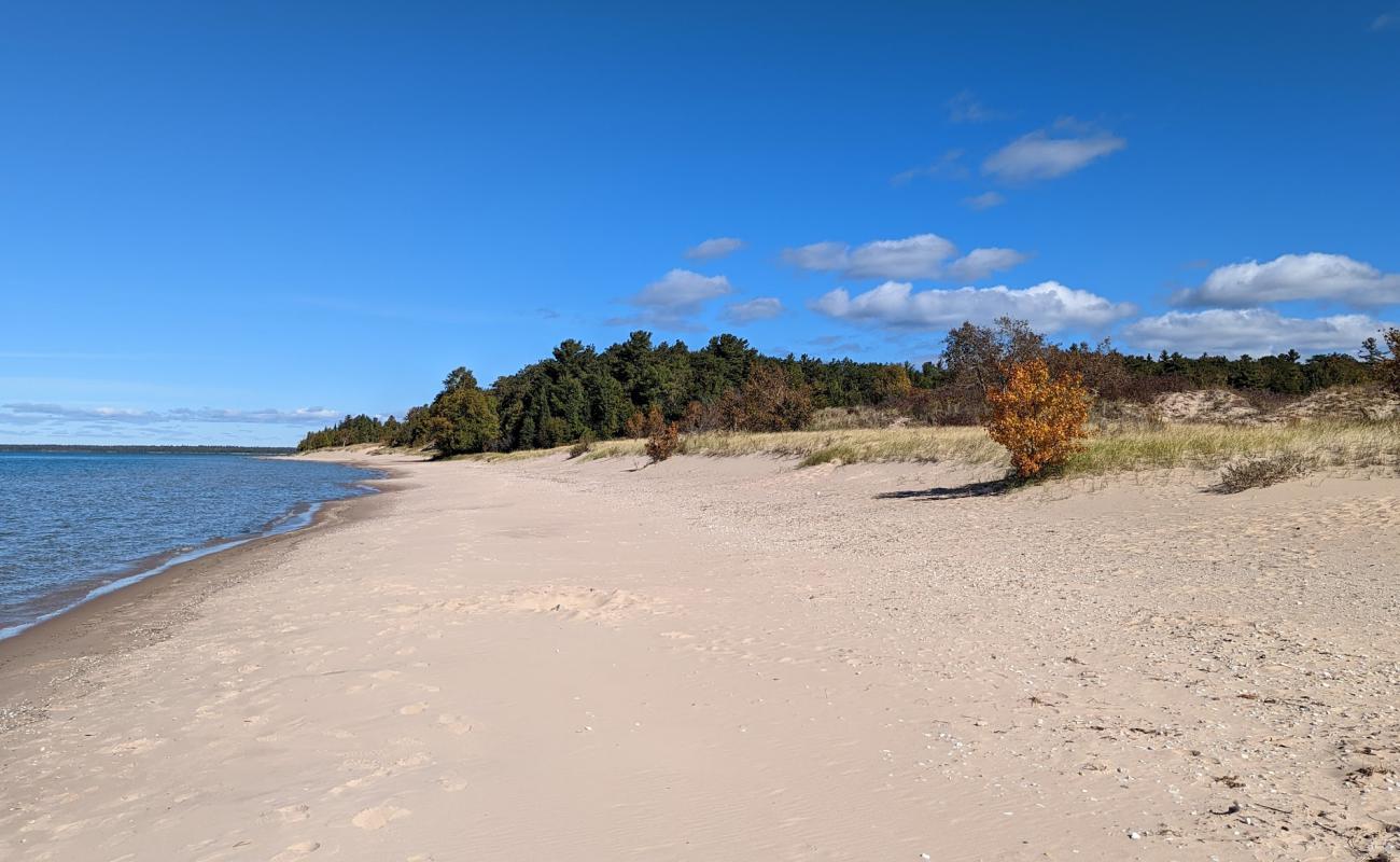 Sturgeon Bay Beach'in fotoğrafı açık bej kum yüzey ile
