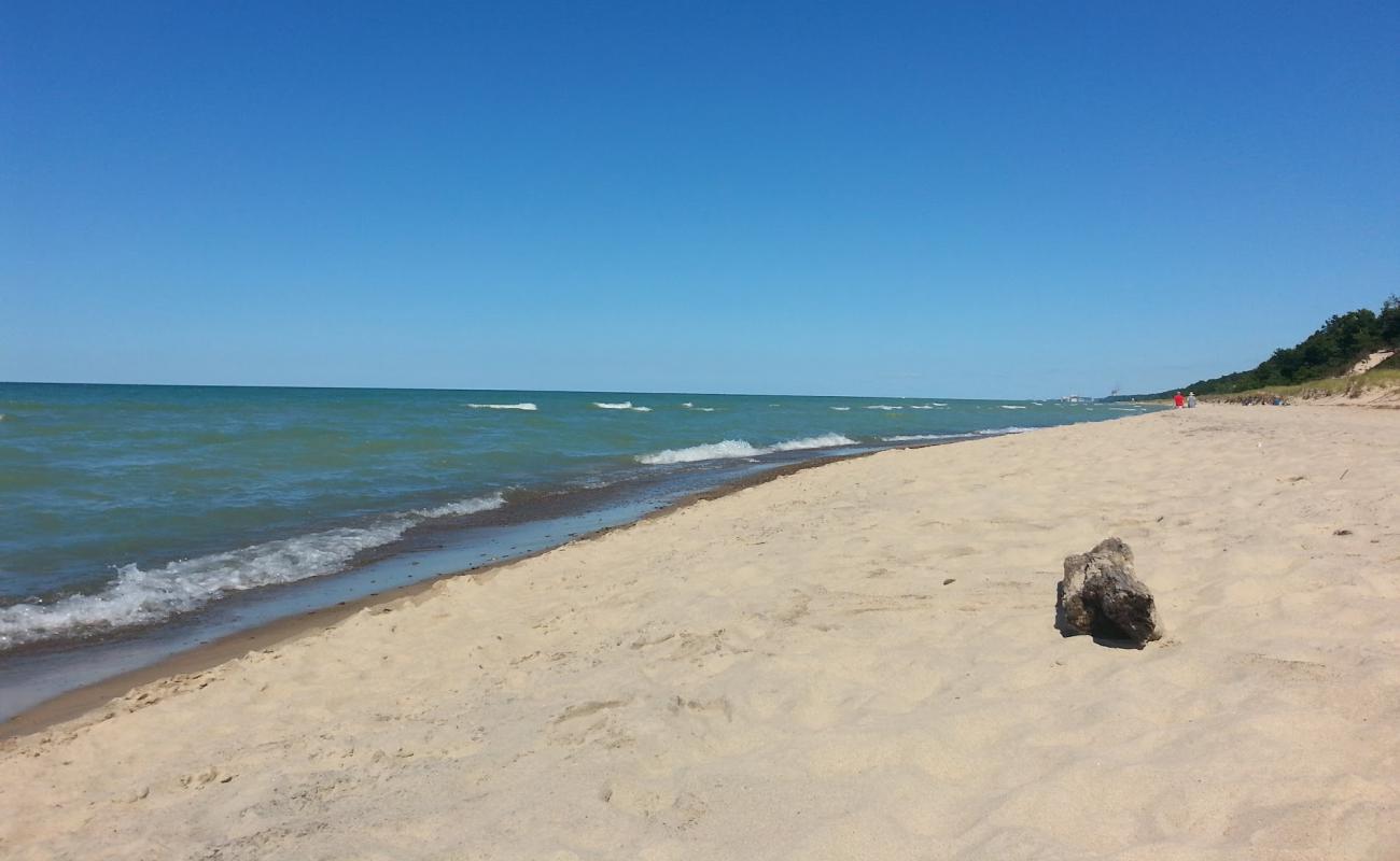 Sand Dunes Beach'in fotoğrafı açık bej kum yüzey ile