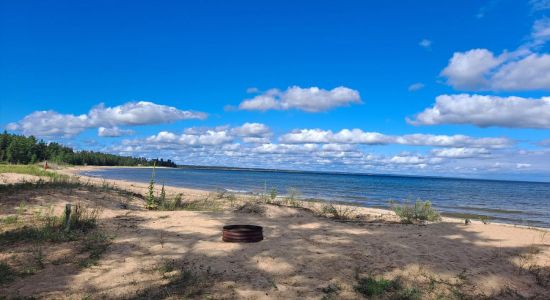 Woodstar beach