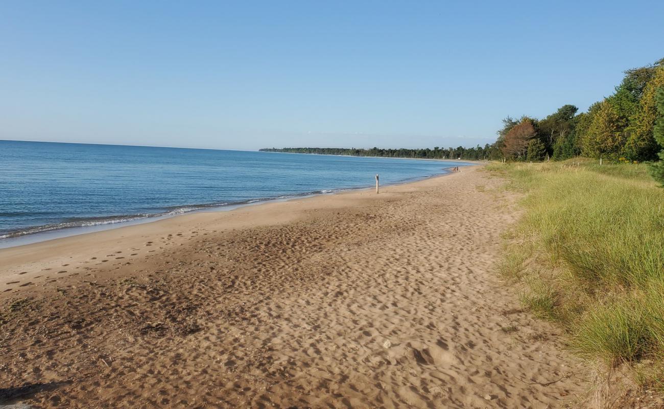 Lily Bay'in fotoğrafı parlak kum yüzey ile