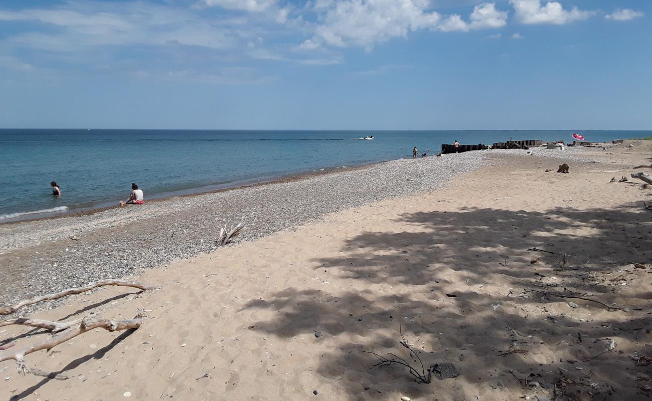 Isherwood beach'in fotoğrafı gri kum ve çakıl yüzey ile