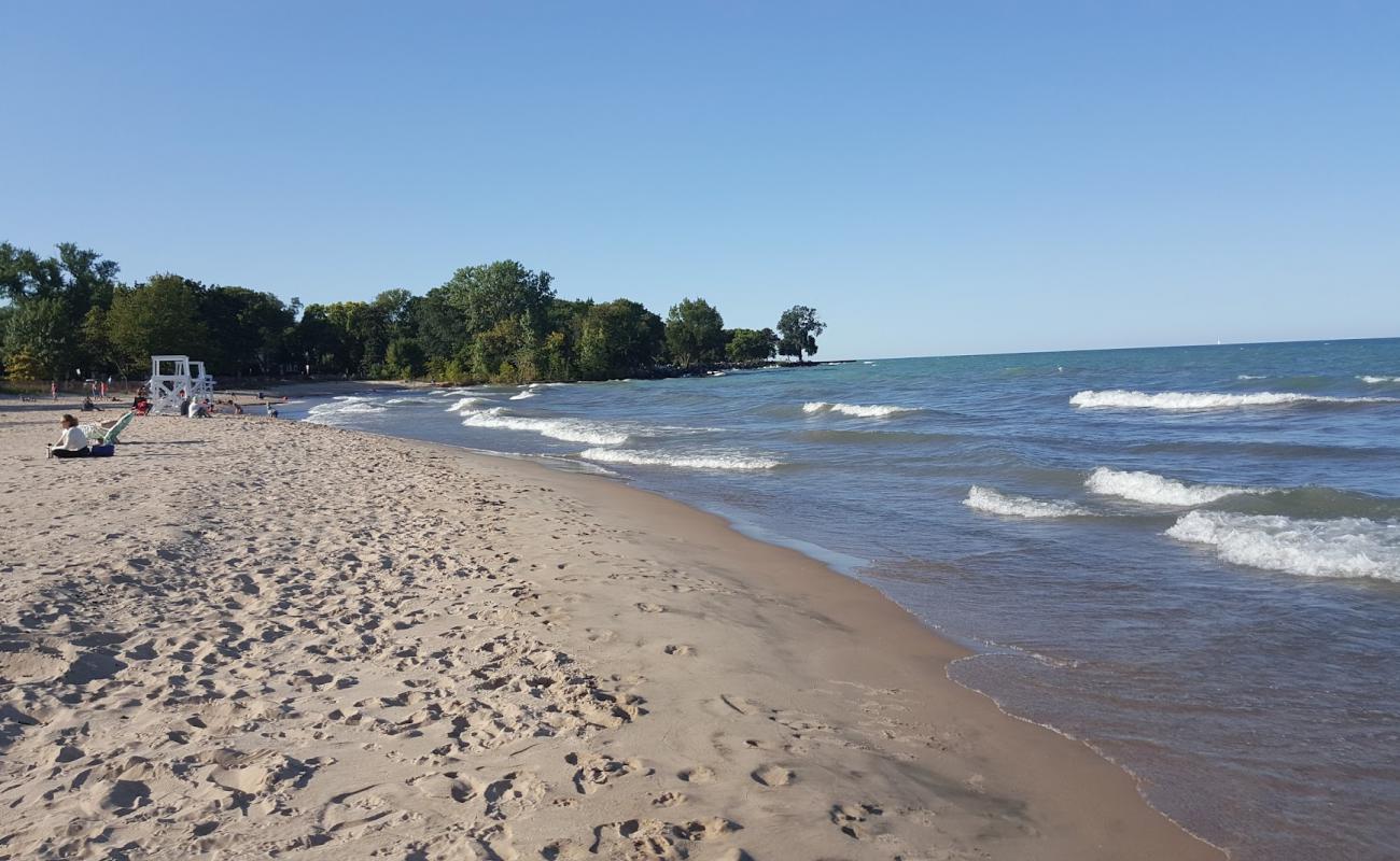 Lee Street Beach'in fotoğrafı parlak kum yüzey ile