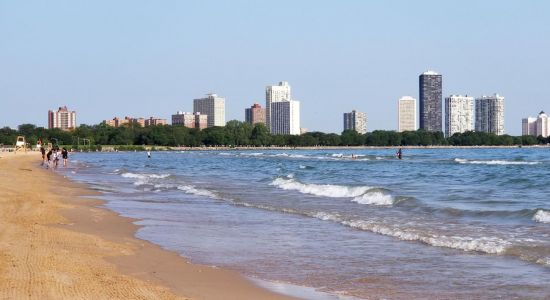 Montrose Beach