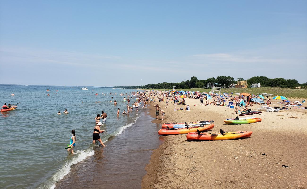 New Buffalo Beach'in fotoğrafı parlak kum yüzey ile