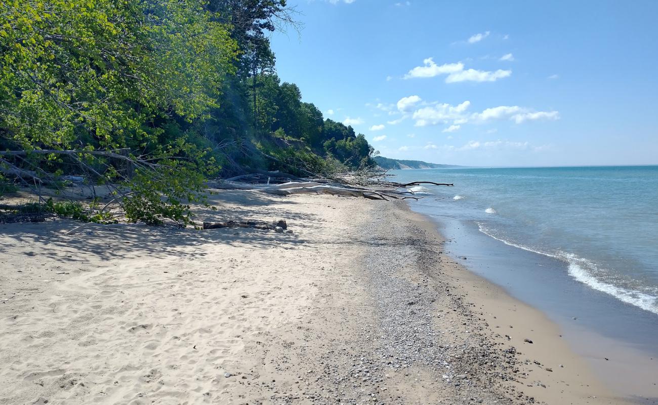 Deerlick Creek Park'in fotoğrafı açık bej kum yüzey ile