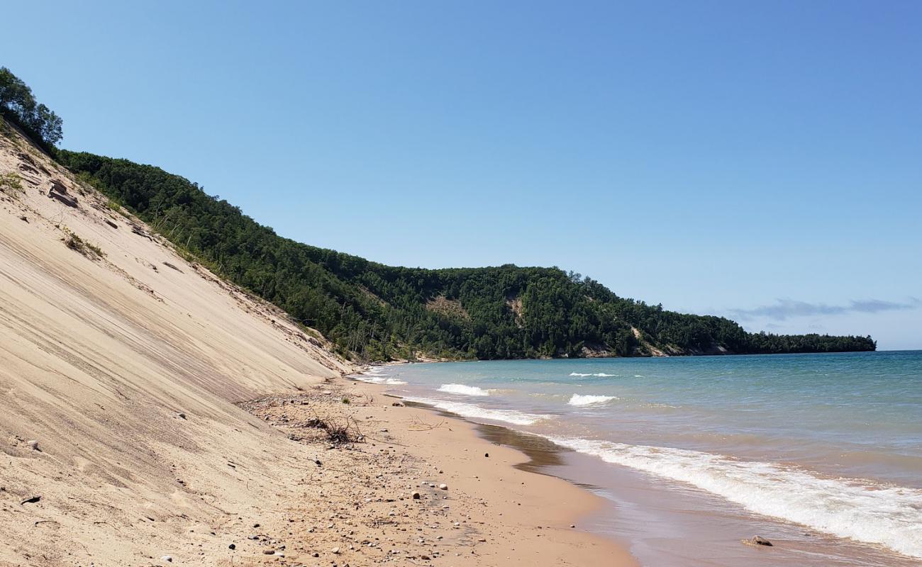 Log Slide Beach'in fotoğrafı parlak kum yüzey ile