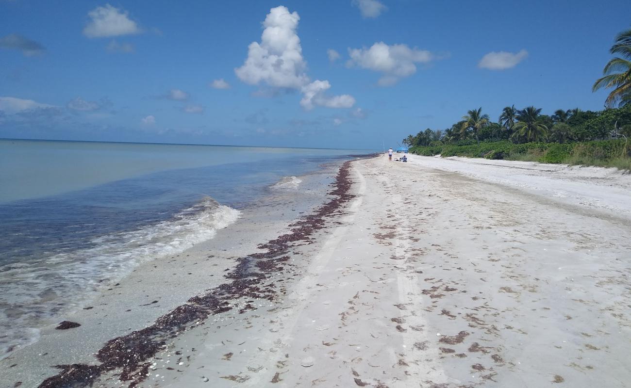 Sanibel beach'in fotoğrafı beyaz kum yüzey ile