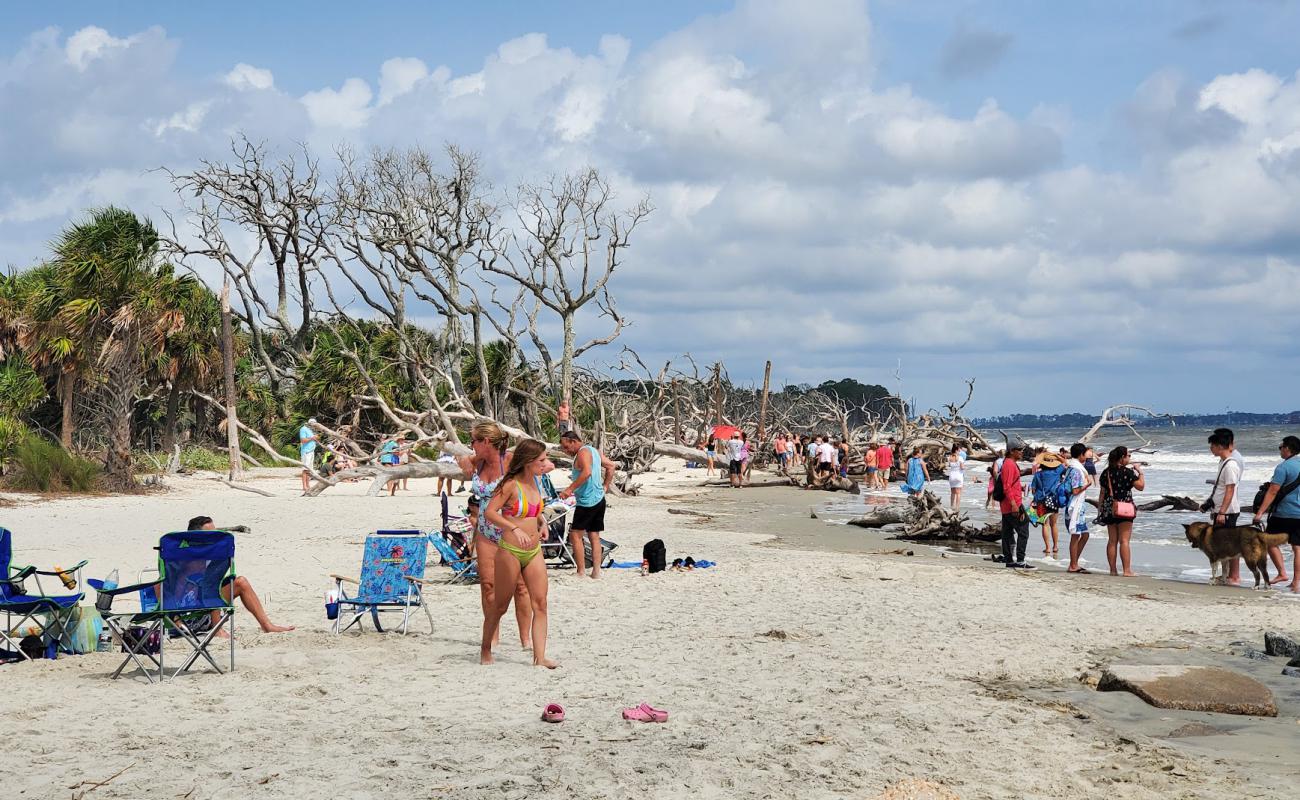 Driftwood beach'in fotoğrafı i̇nce bej kum yüzey ile