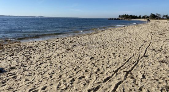 Sandy hook beach