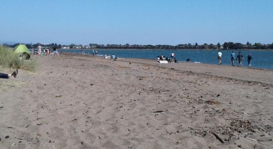 Alameda beach