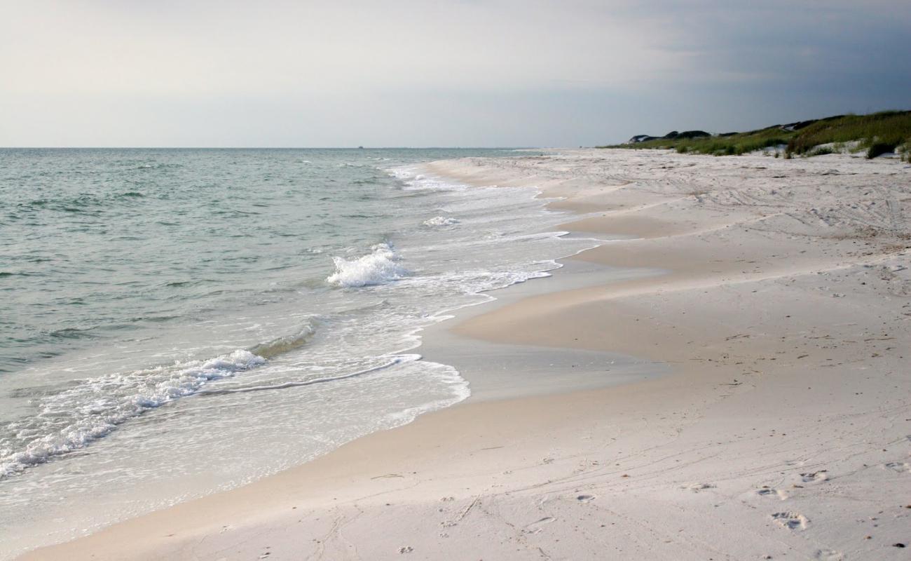 Darwin Beach'in fotoğrafı beyaz kum yüzey ile