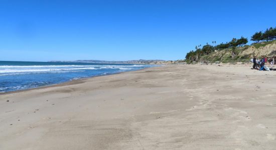 Trestles Beach