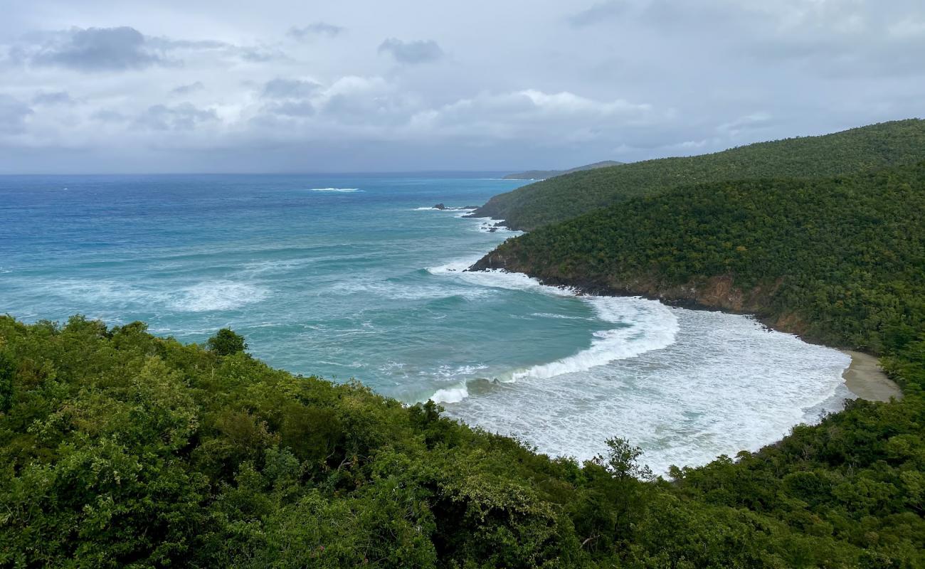 Santa Maria Bay beach'in fotoğrafı açık bej kum yüzey ile