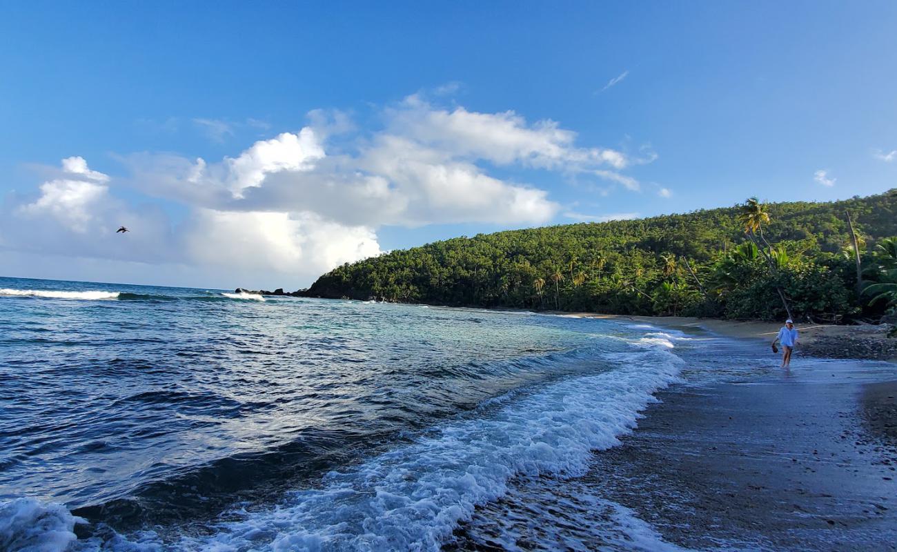 Hendrik Bay beach'in fotoğrafı parlak kum ve kayalar yüzey ile