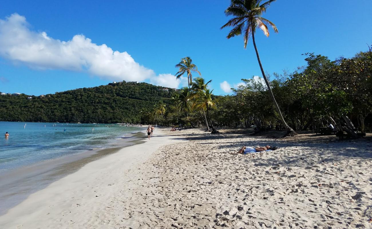 Magens Bay beach'in fotoğrafı i̇nce bej kum yüzey ile