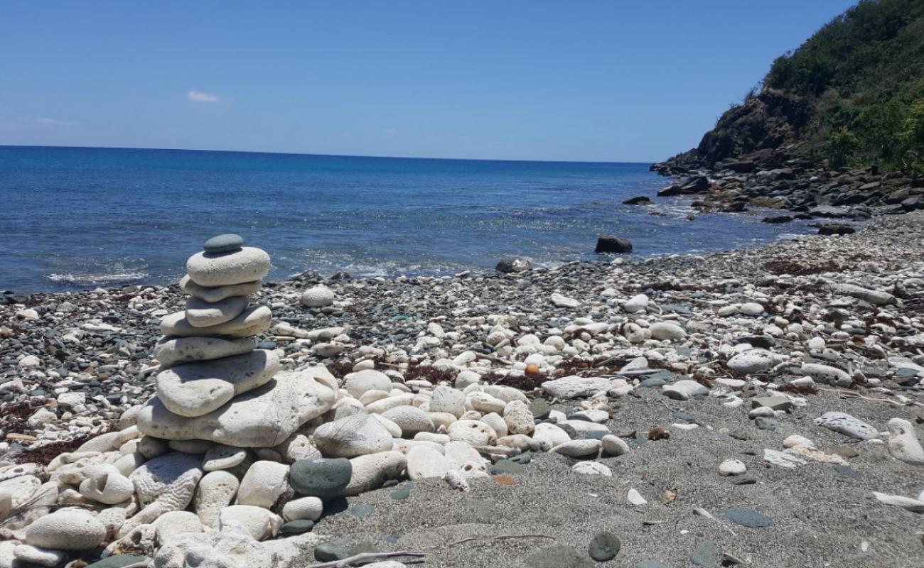 Fortuna Bay beach'in fotoğrafı gri çakıl taşı yüzey ile