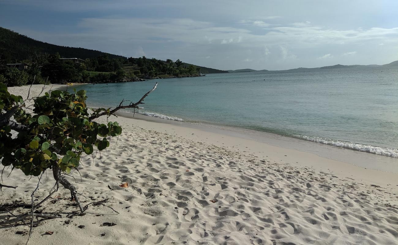 Caneel Bay beach'in fotoğrafı i̇nce bej kum yüzey ile